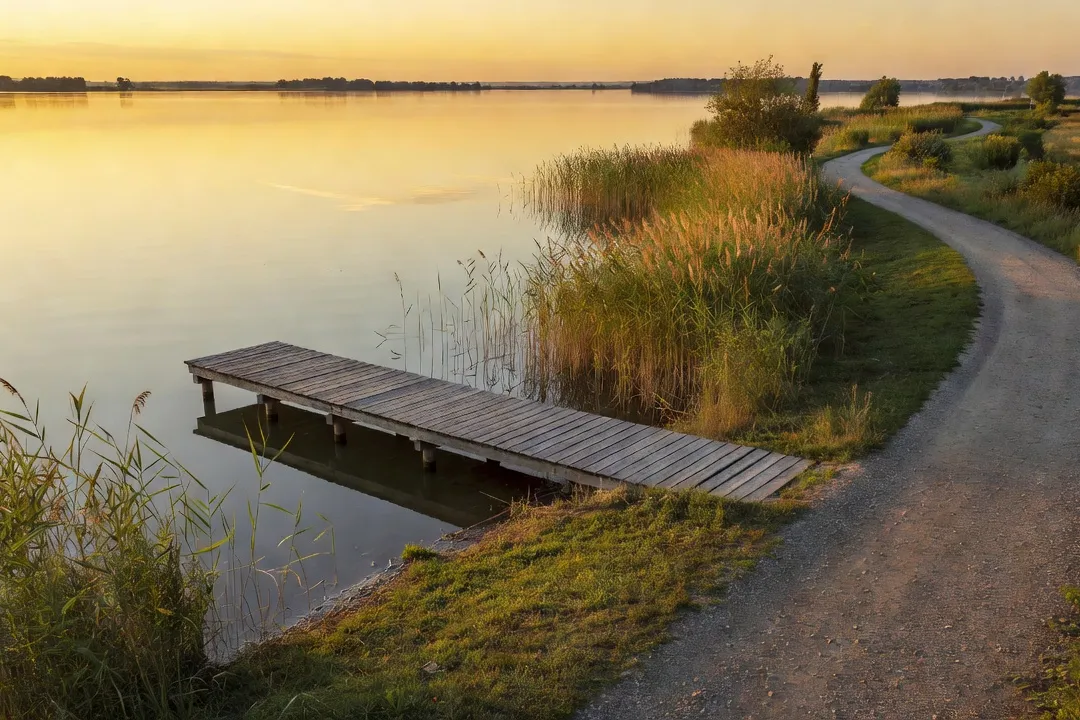 Visiter le lac Tisza : guide vélo et nature en Hongrie en 2026